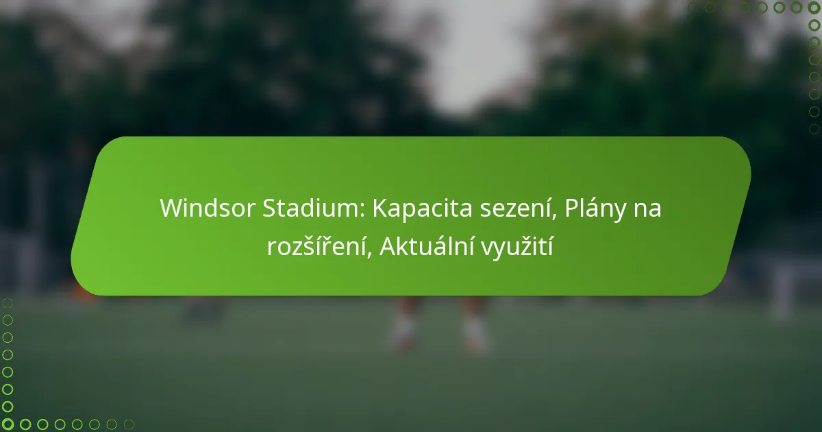 Windsor Stadium: Kapacita sezení, Plány na rozšíření, Aktuální využití