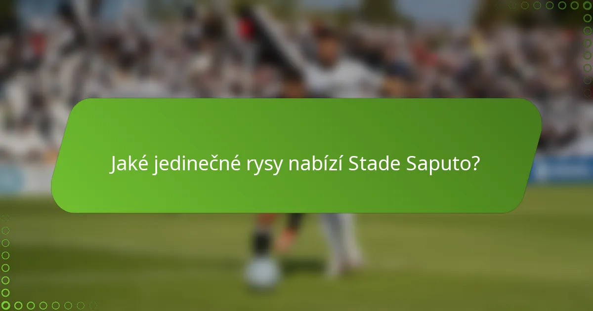 Jaké jedinečné rysy nabízí Stade Saputo?